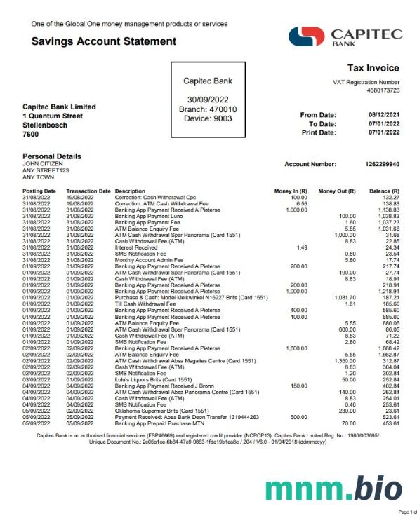 Szablon wyciągu bankowego USA Capital One, format Word i PDF